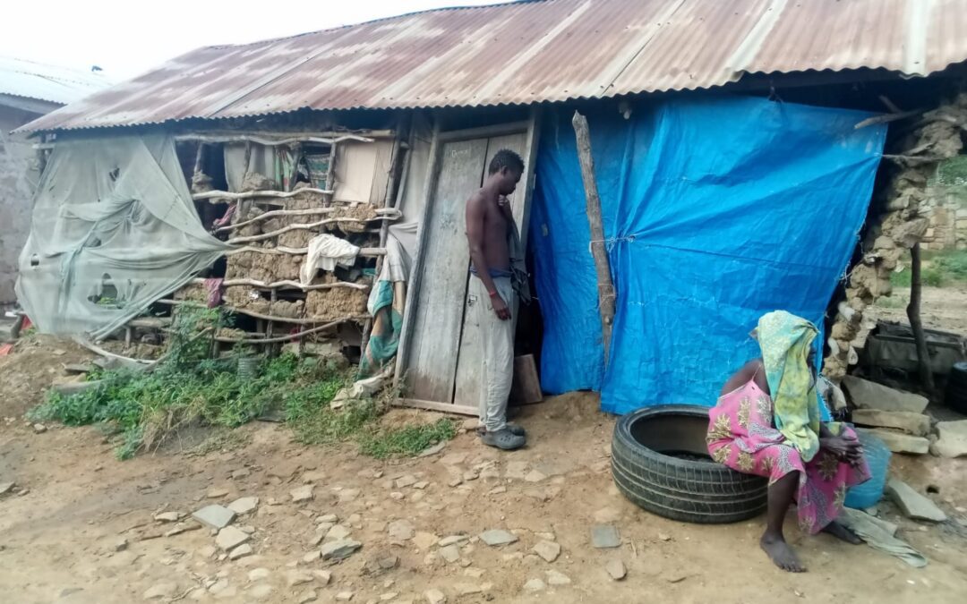 The best kind of ‘nixer’